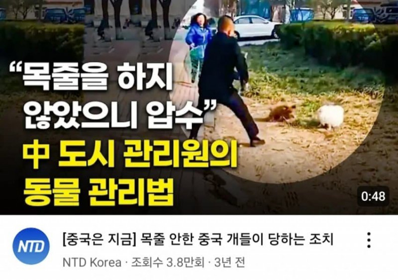 파워볼게임통계