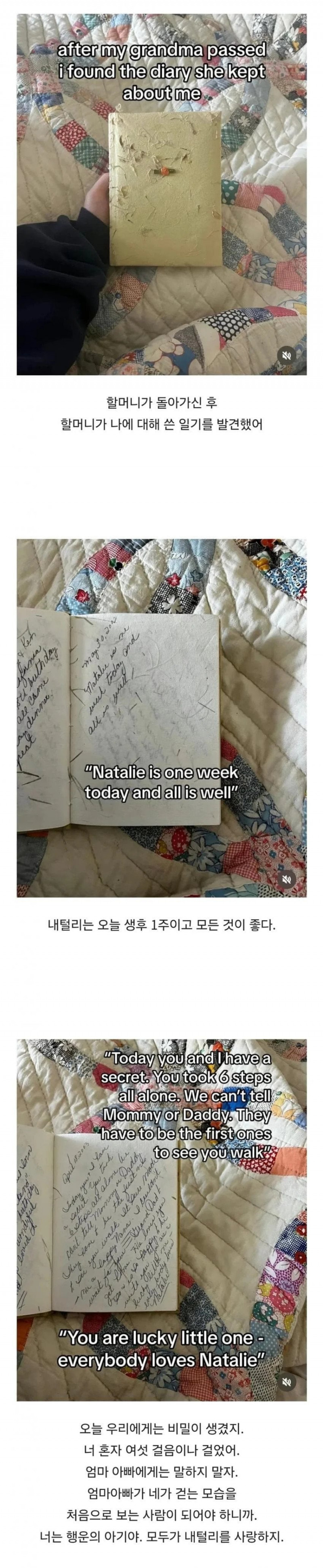 파워볼 분석과 실시간패턴통계