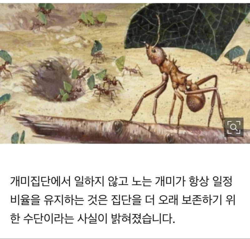 통축