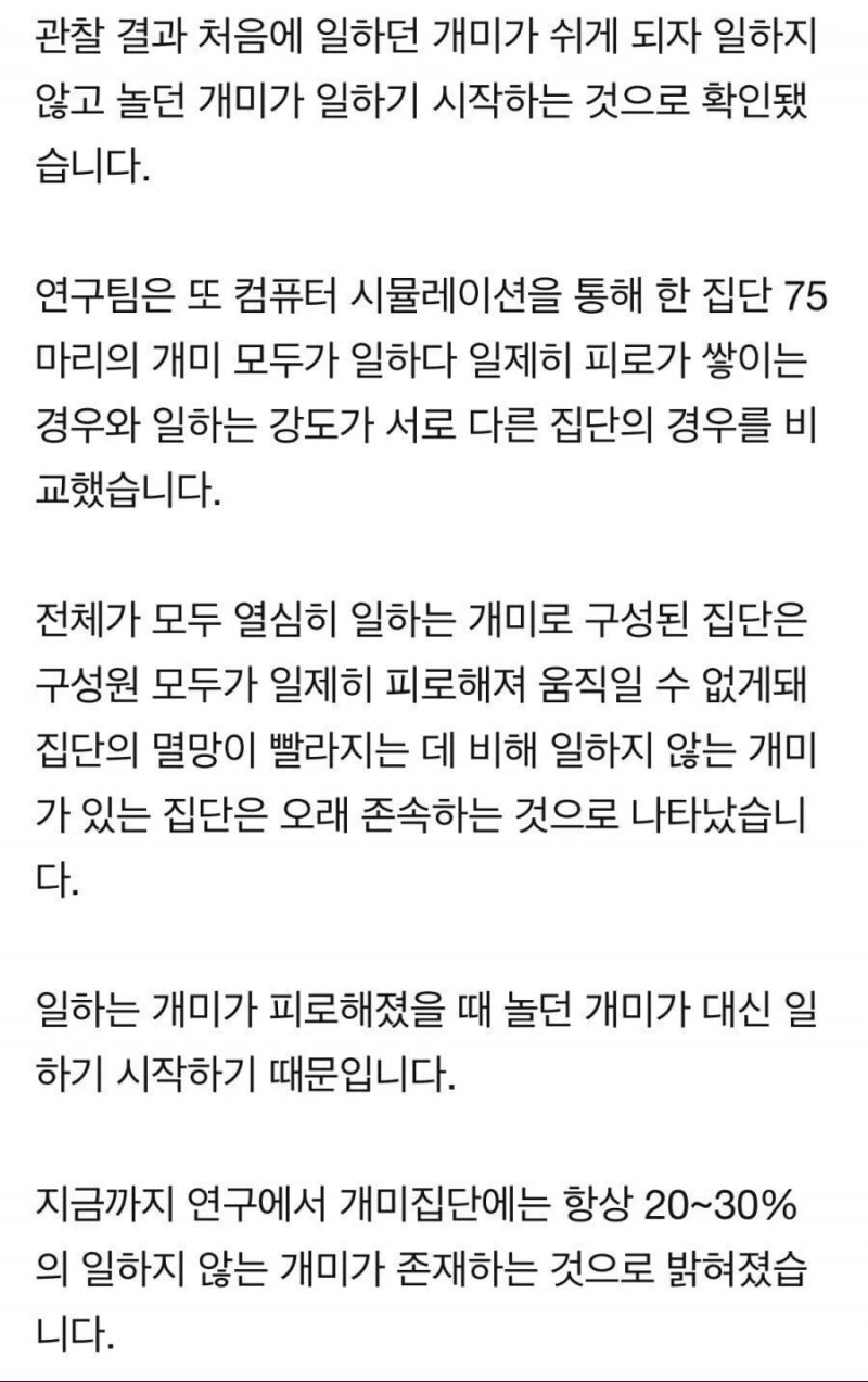 실시간달팽이