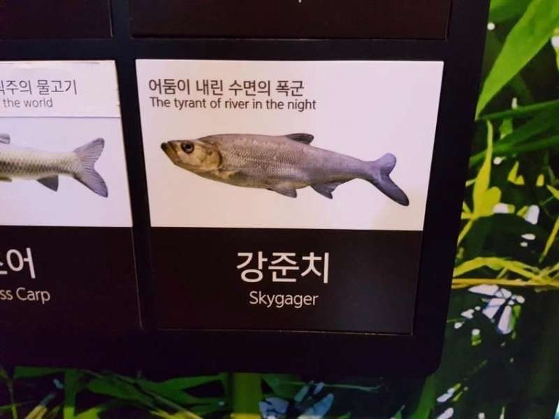 파워볼게임픽