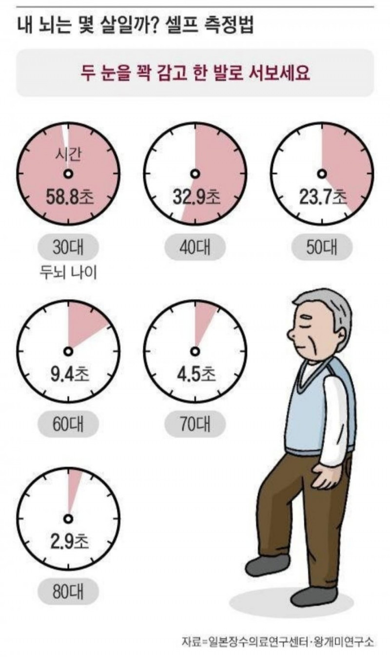 사다리 분석과 실시간패턴통계