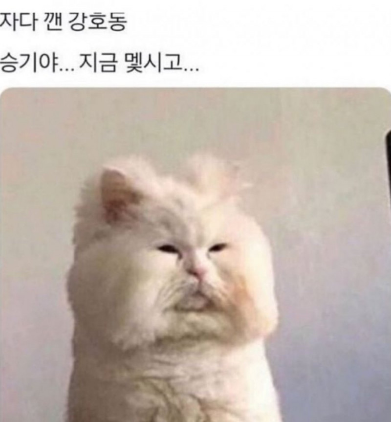 달팽이게임