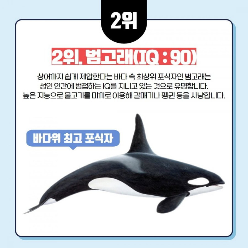 파워볼게임분석기