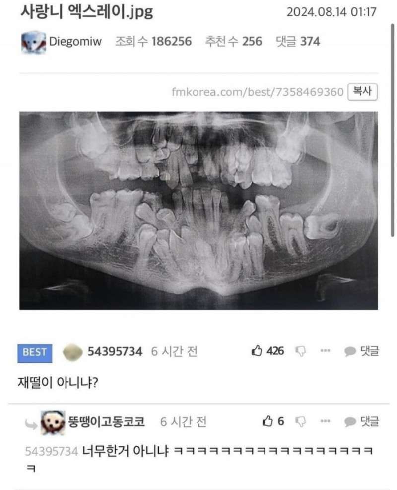 달팽이게임분석기