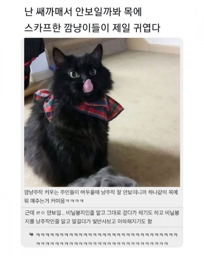 달팽이필승