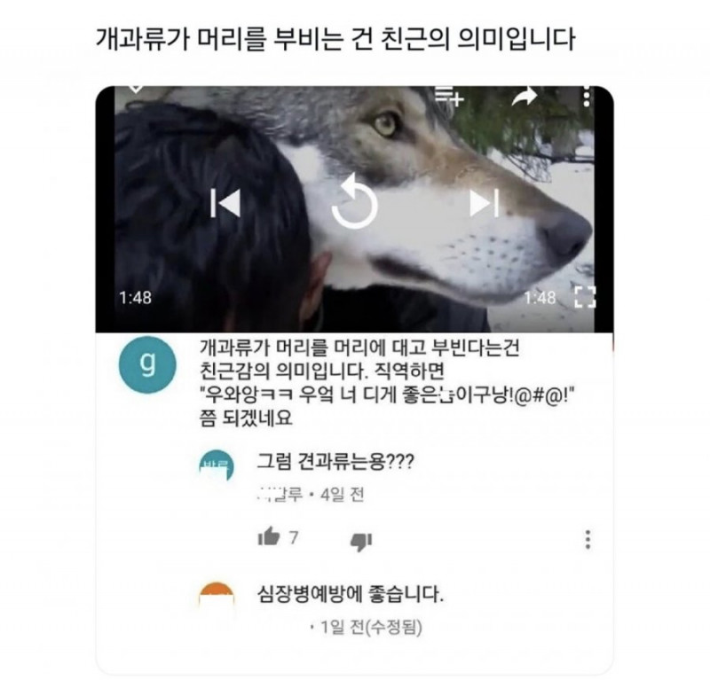 나눔로또