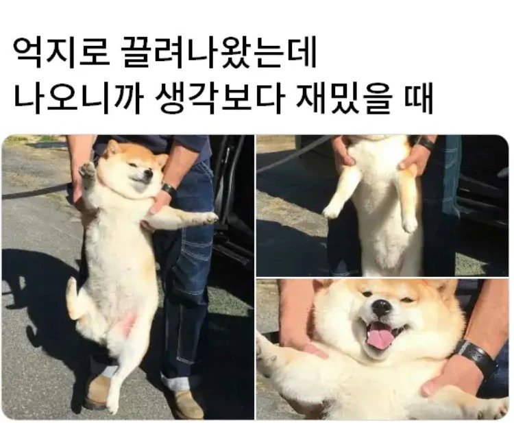 실시간사다리