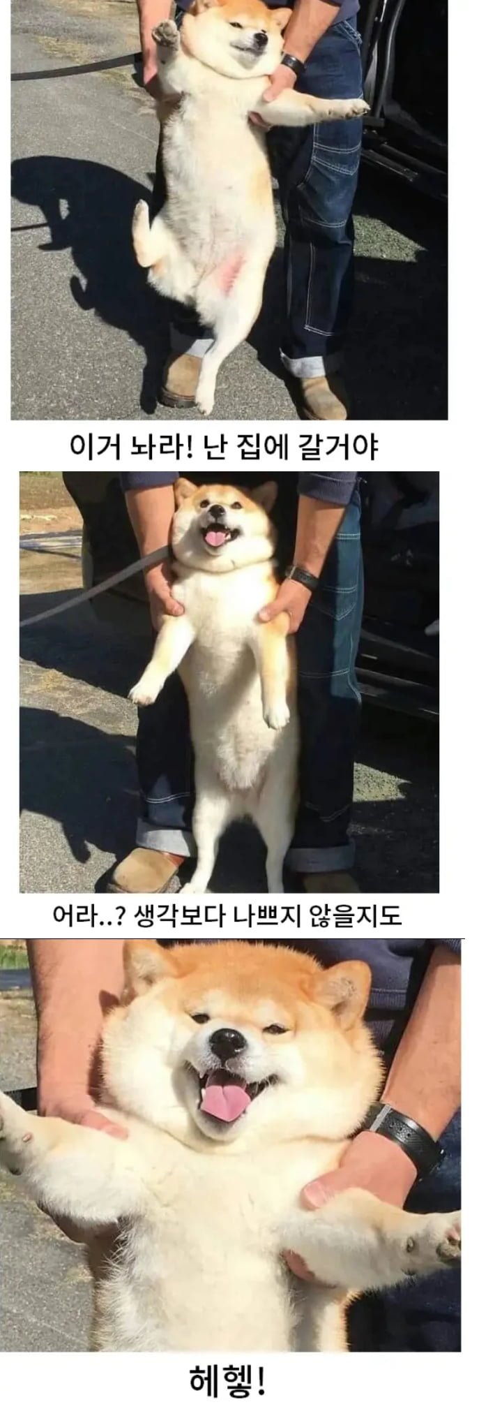 달팽이게임픽분석