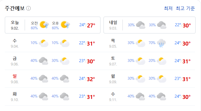 사다리 분석과 실시간패턴통계