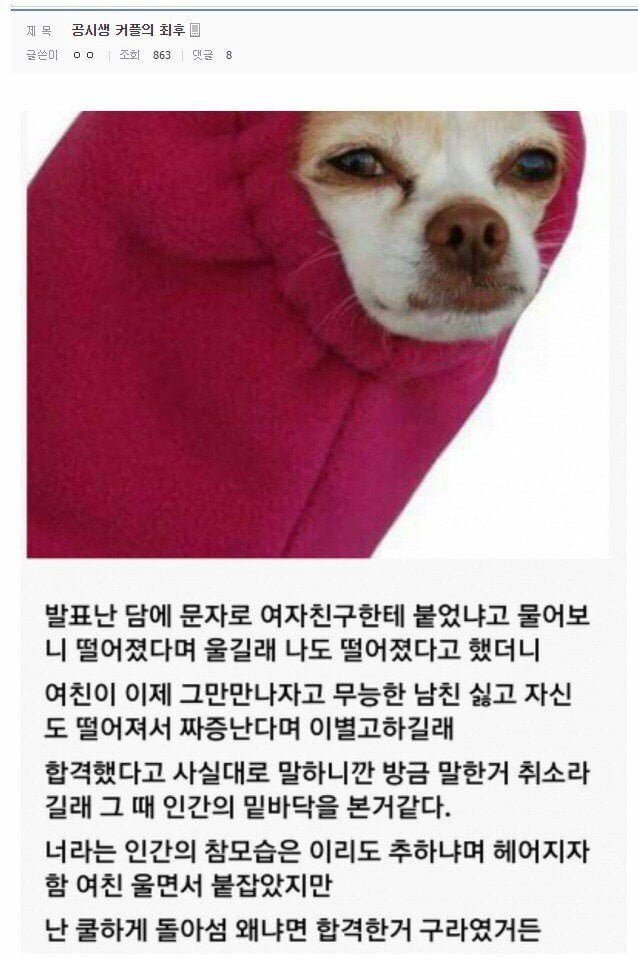 실시간게임