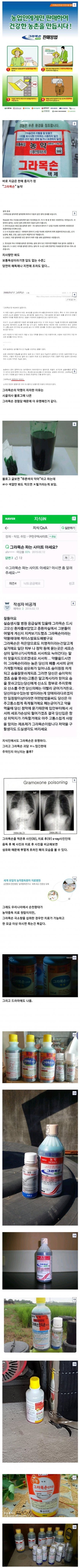 달팽이게임픽분석