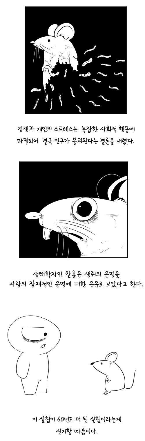 사다리게임통계