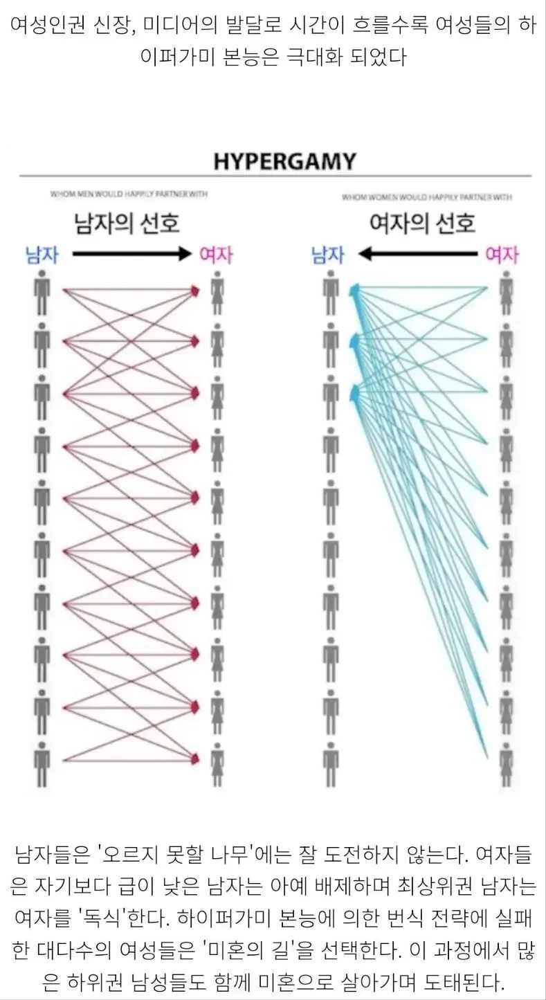 사다리게임분석기