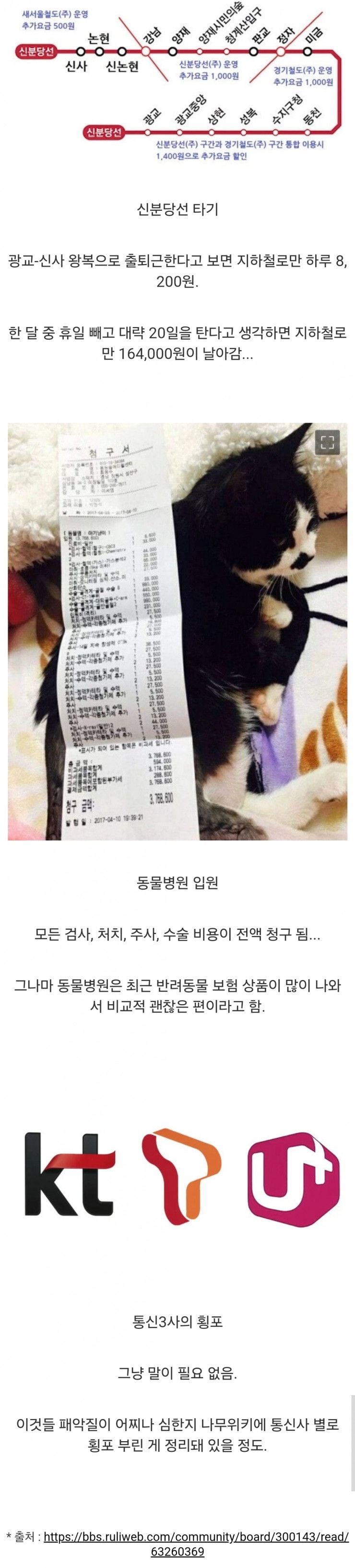 달팽이게임분석