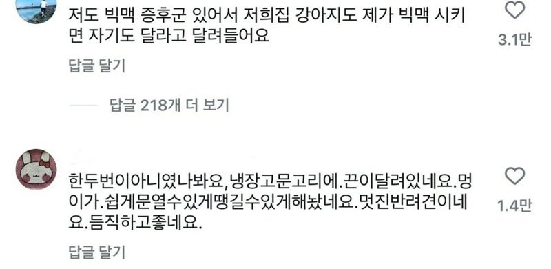 달팽이게임분석기