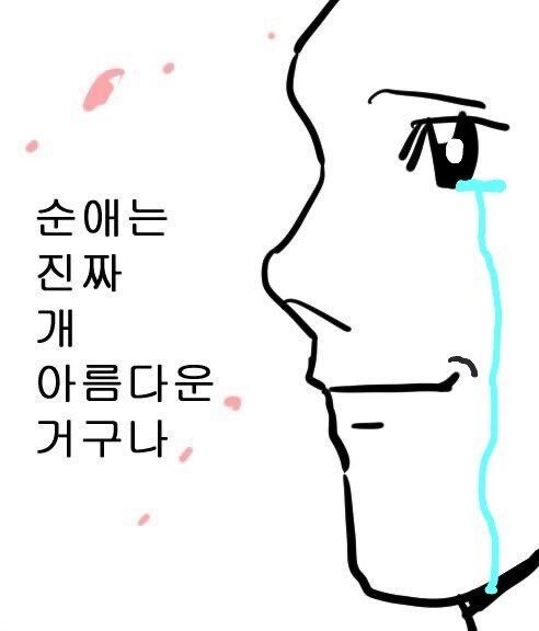 달팽이게임픽