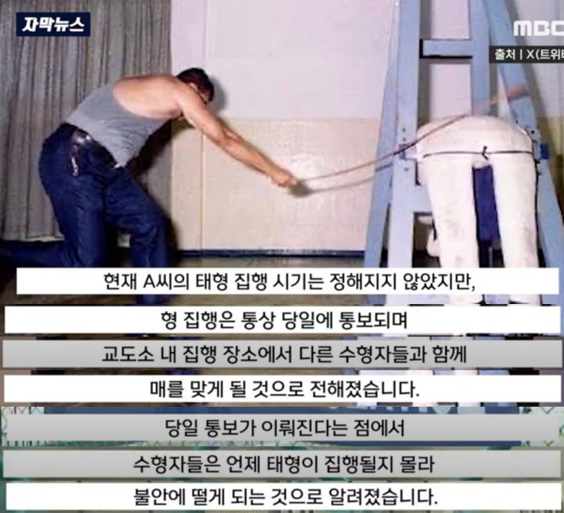 실시간달팽이