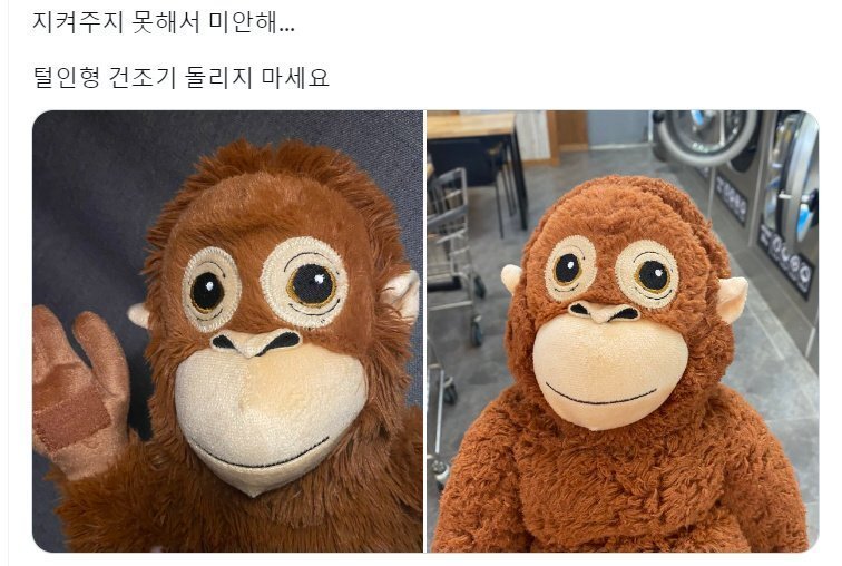 달팽이 분석과 실시간패턴통계