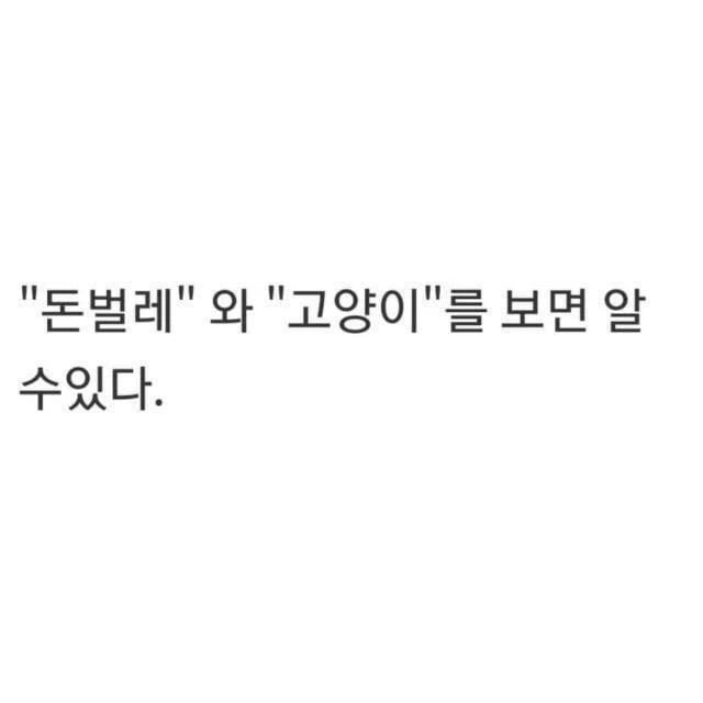 달팽이게임통계