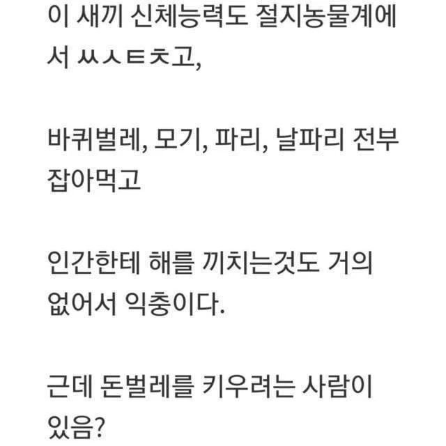 파워볼게임분석기