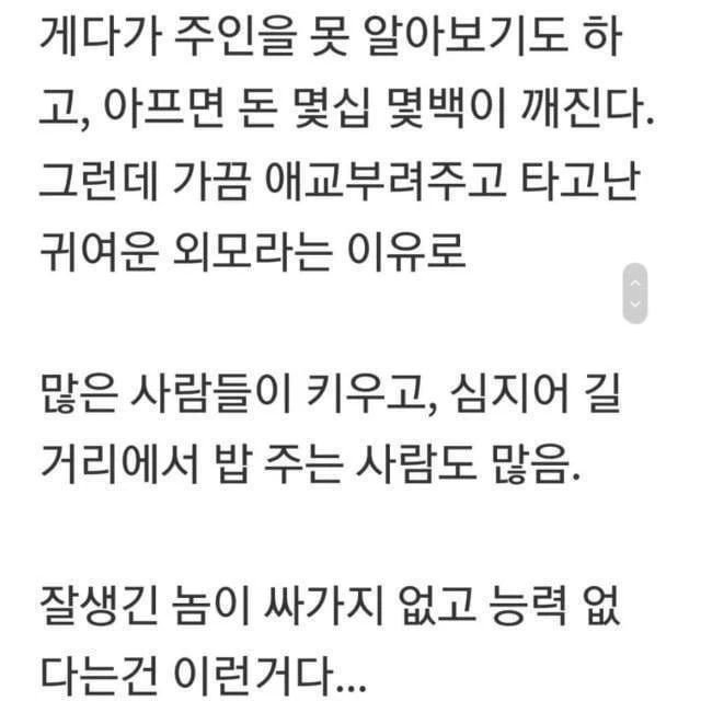 달팽이게임픽분석