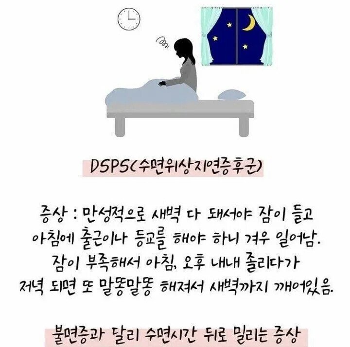 사다리게임분석