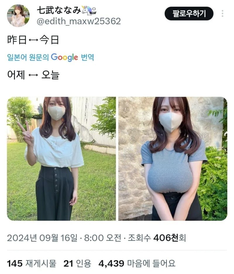 다리다리 분석과 실시간패턴통계