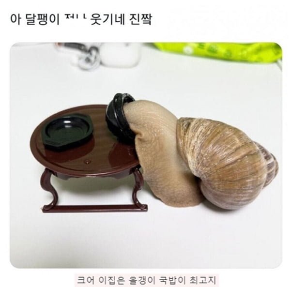 파워볼게임통계