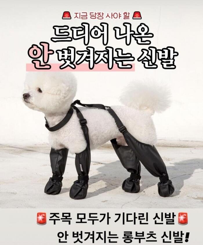 나눔로또 파워볼분석기