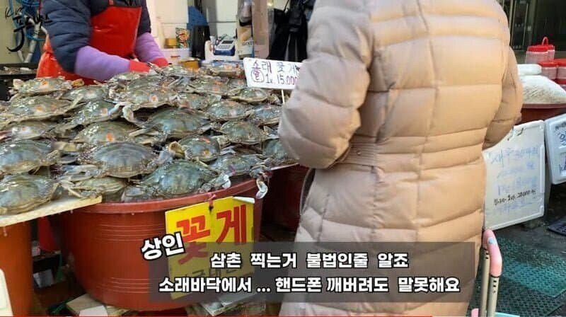 사다리게임통계