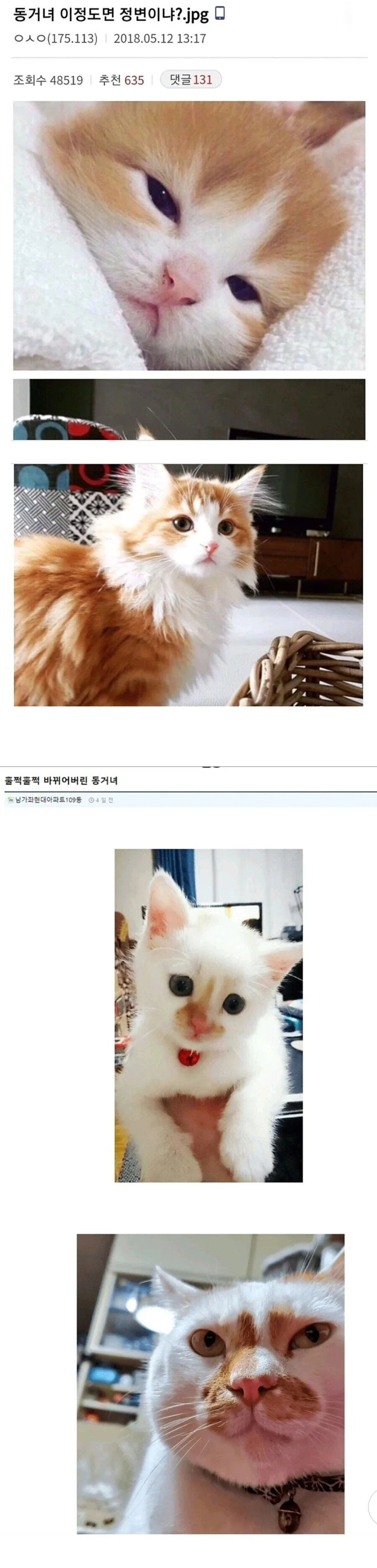 달팽이게임픽분석