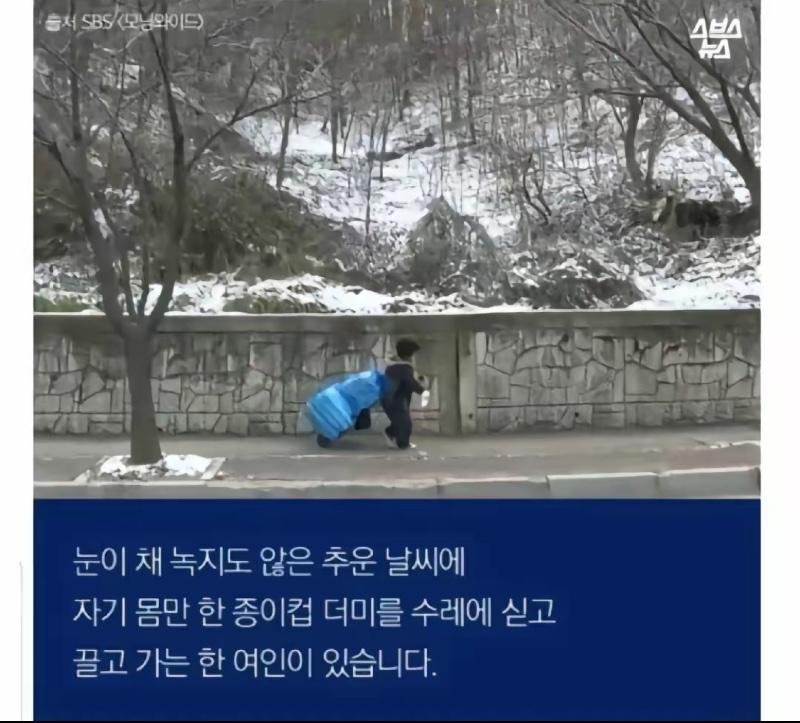 사다리게임