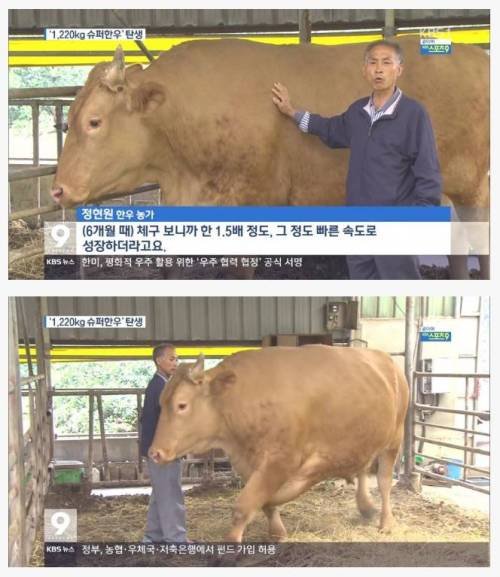 달팽이 분석과 실시간패턴통계