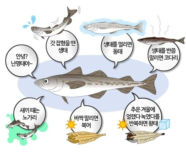 나눔로또