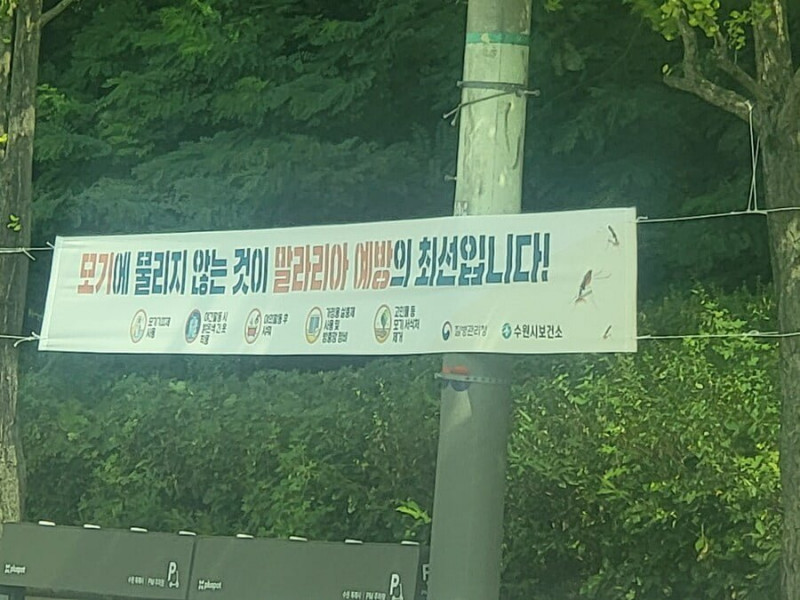 달팽이게임픽분석