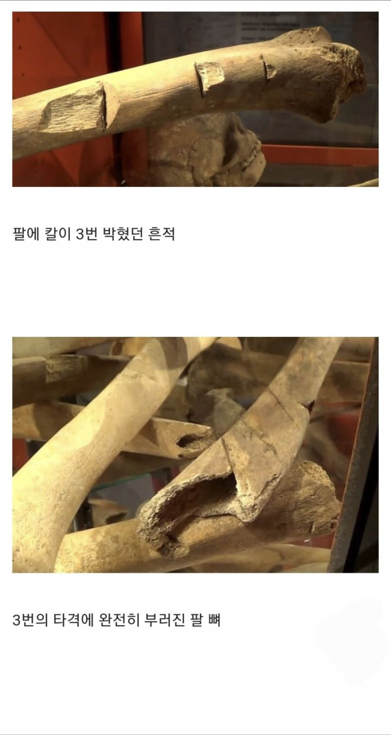 파워볼 분석과 실시간패턴통계