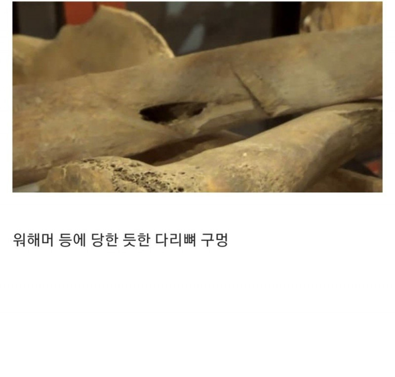 파워볼 분석과 실시간패턴통계