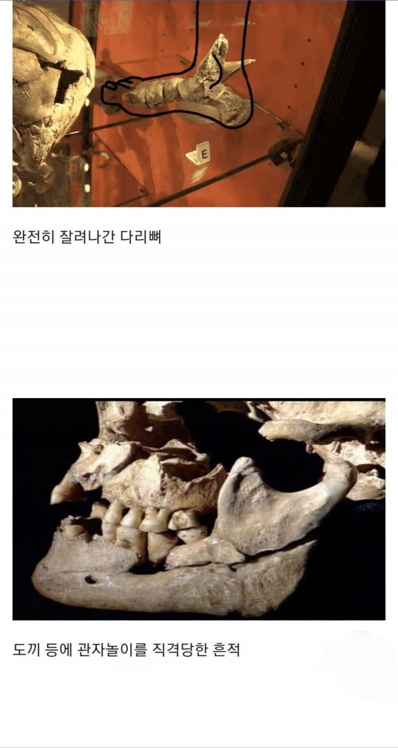 파워볼 분석과 실시간패턴통계