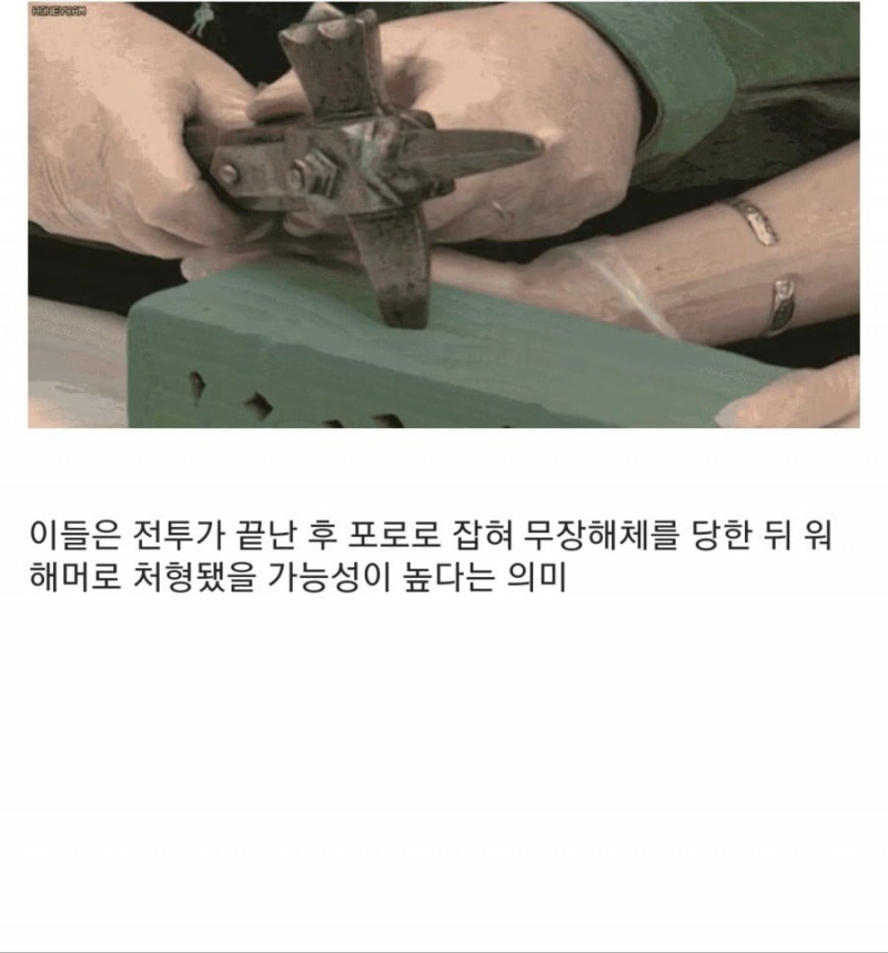 실시간다리다리