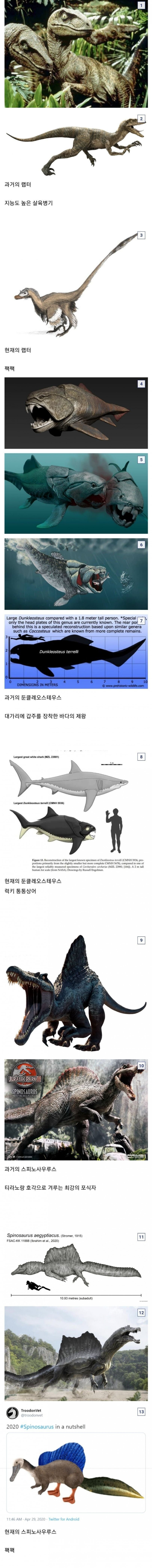 달팽이게임픽분석