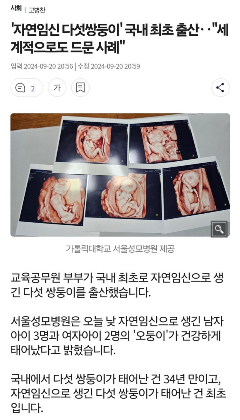 달팽이게임분석