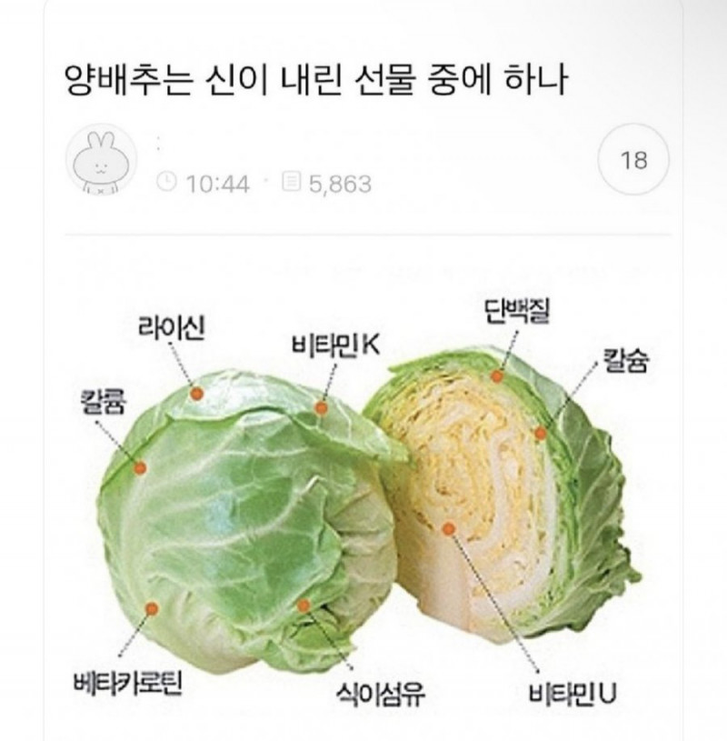 달팽이 분석과 실시간패턴통계