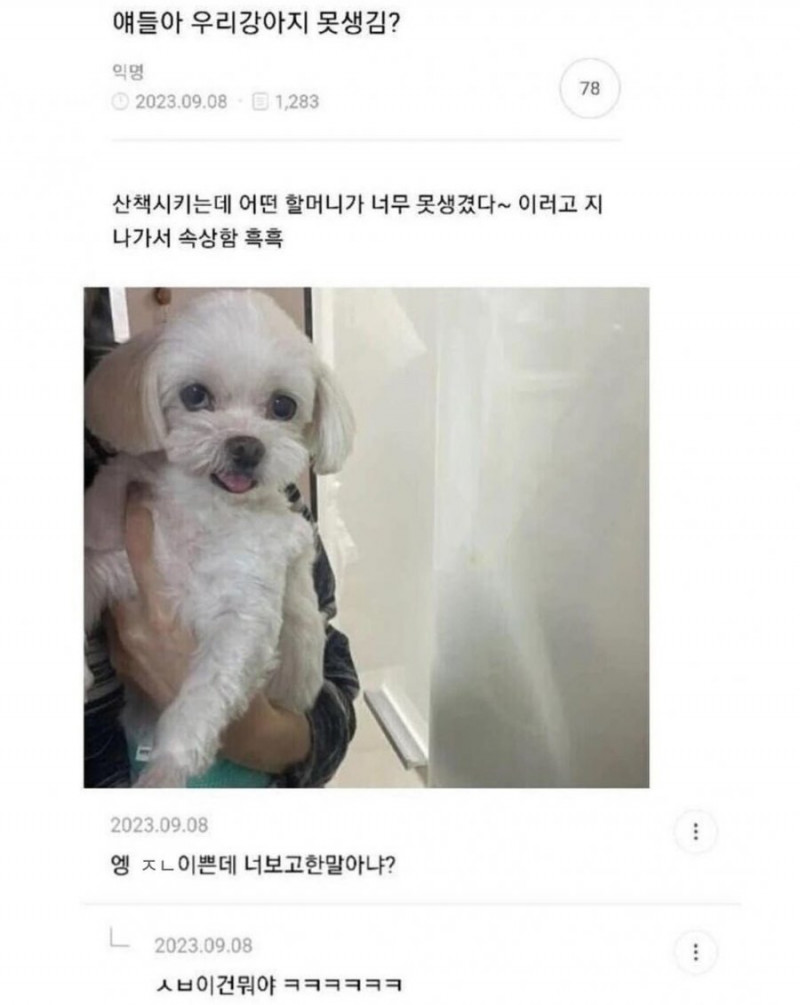 달팽이게임픽분석