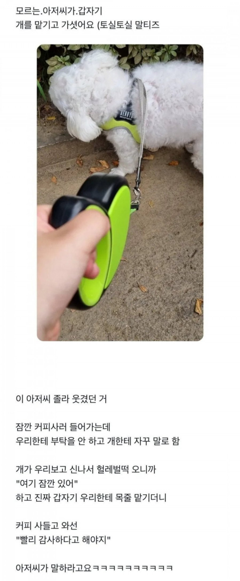 달팽이게임분석기