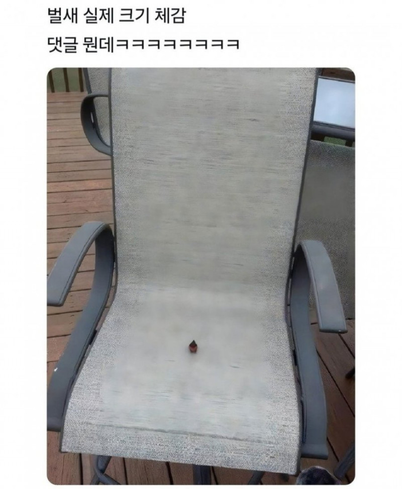 파워볼게임