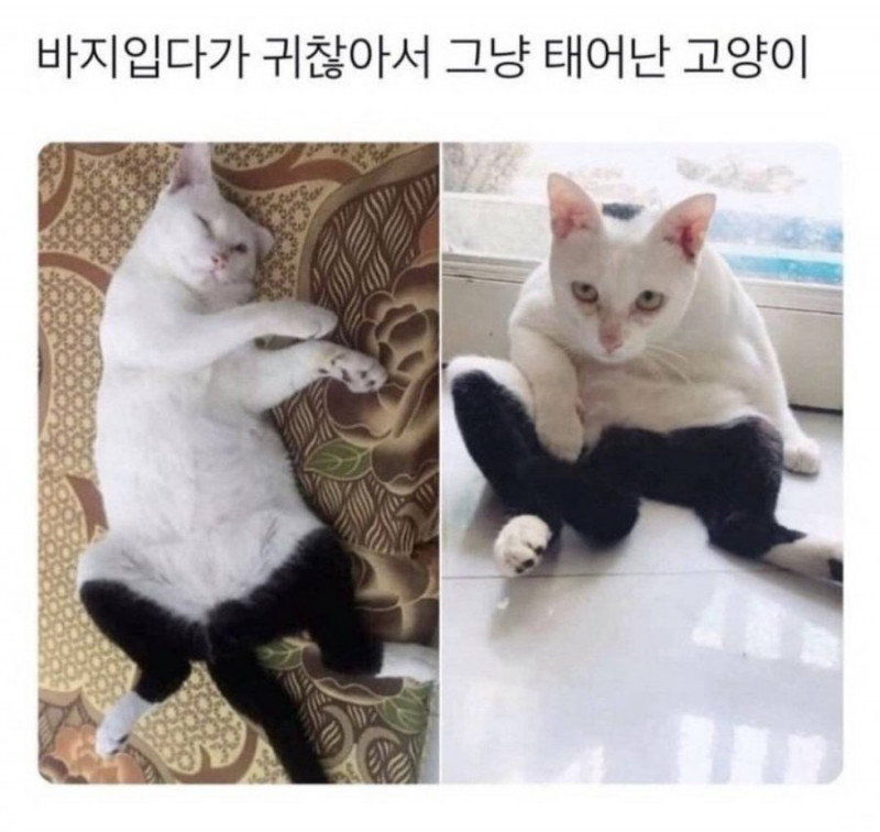 파워볼게임픽게임