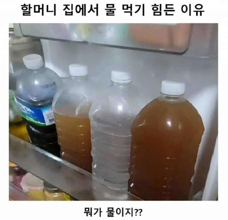 달팽이게임픽분석