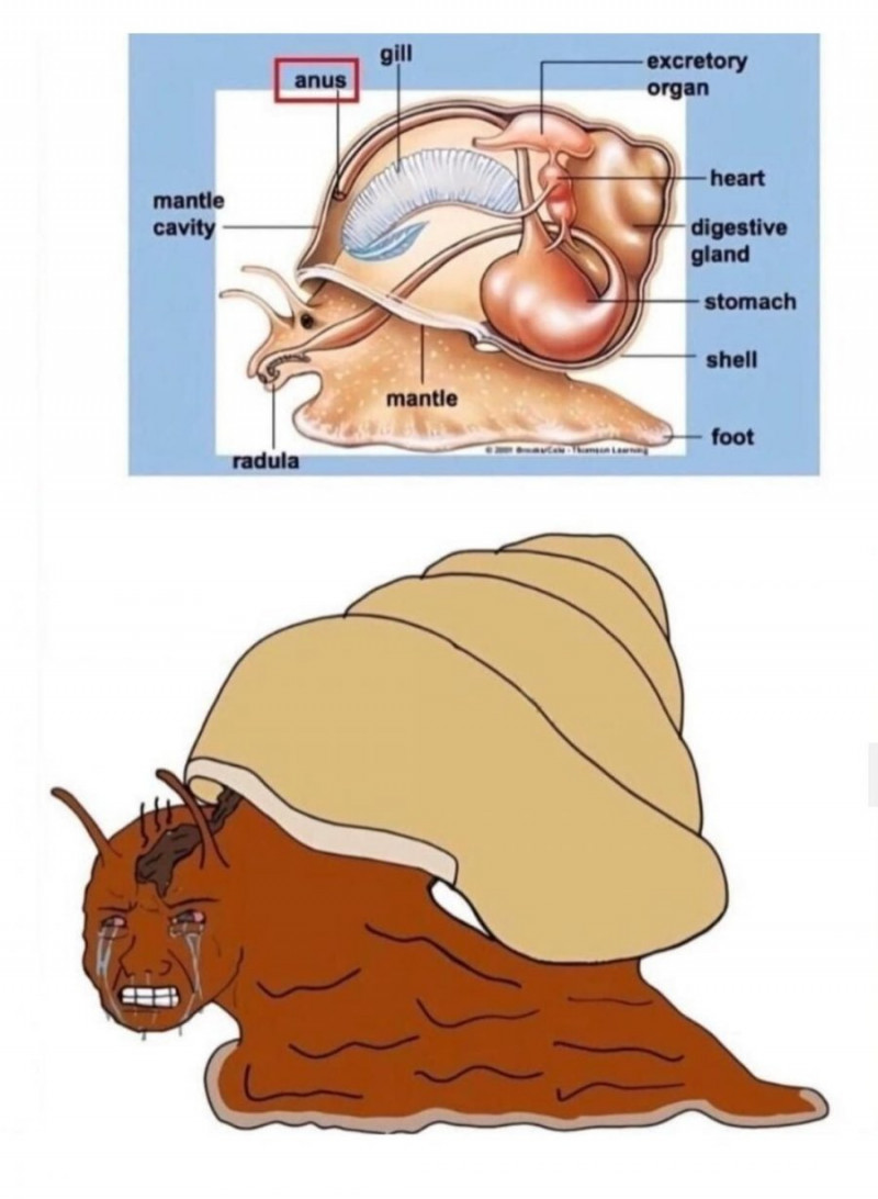 파워볼게임분석기