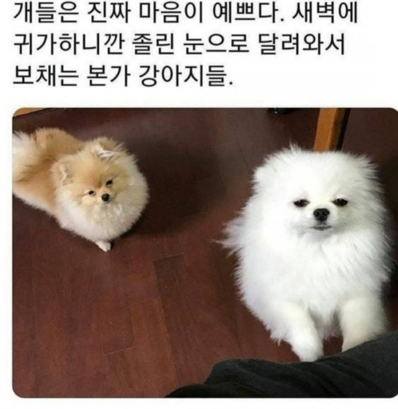 달팽이필승